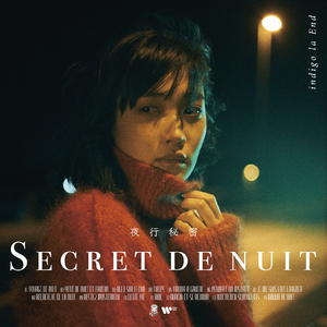 刘涛明星人脸替换脸
