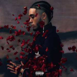 刘涛明星人脸替换脸
