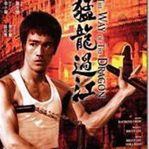 刘涛明星人脸替换脸
