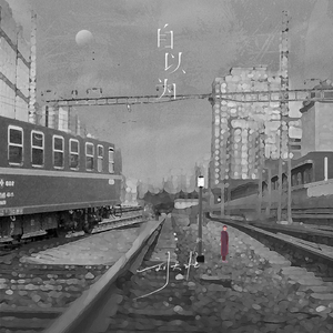 刘涛明星人脸替换脸
