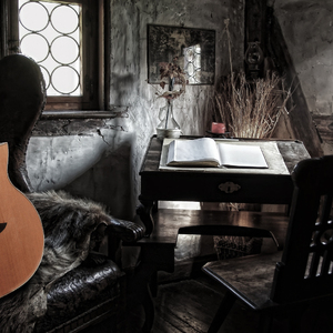 刘涛明星人脸替换脸
