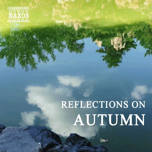 刘涛明星人脸替换脸
